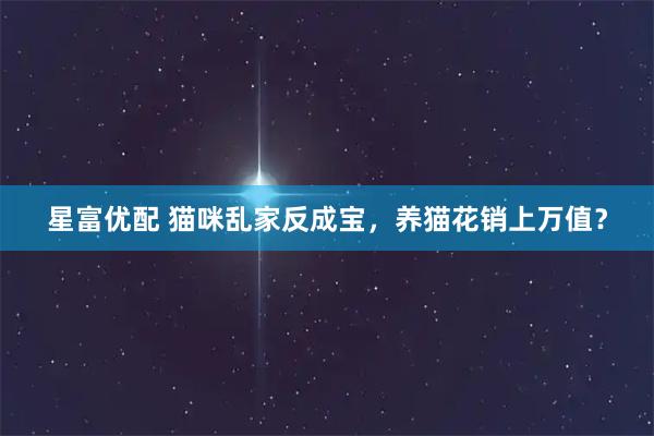 星富优配 猫咪乱家反成宝，养猫花销上万值？
