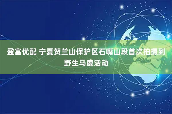 盈富优配 宁夏贺兰山保护区石嘴山段首次拍摄到野生马鹿活动