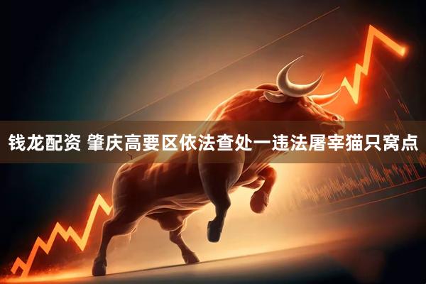钱龙配资 肇庆高要区依法查处一违法屠宰猫只窝点