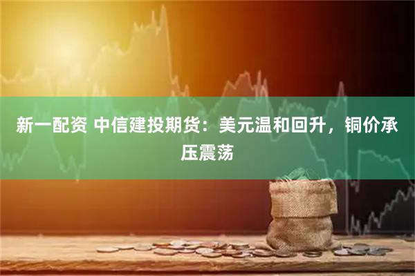 新一配资 中信建投期货：美元温和回升，铜价承压震荡